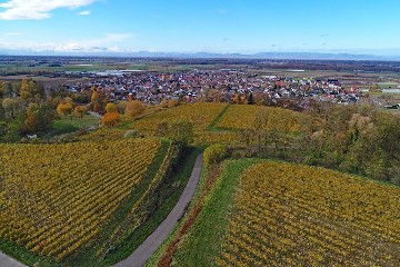 Böschungspflege