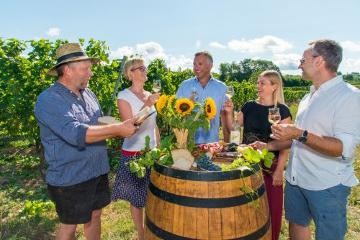 In den Weinbergen genießen