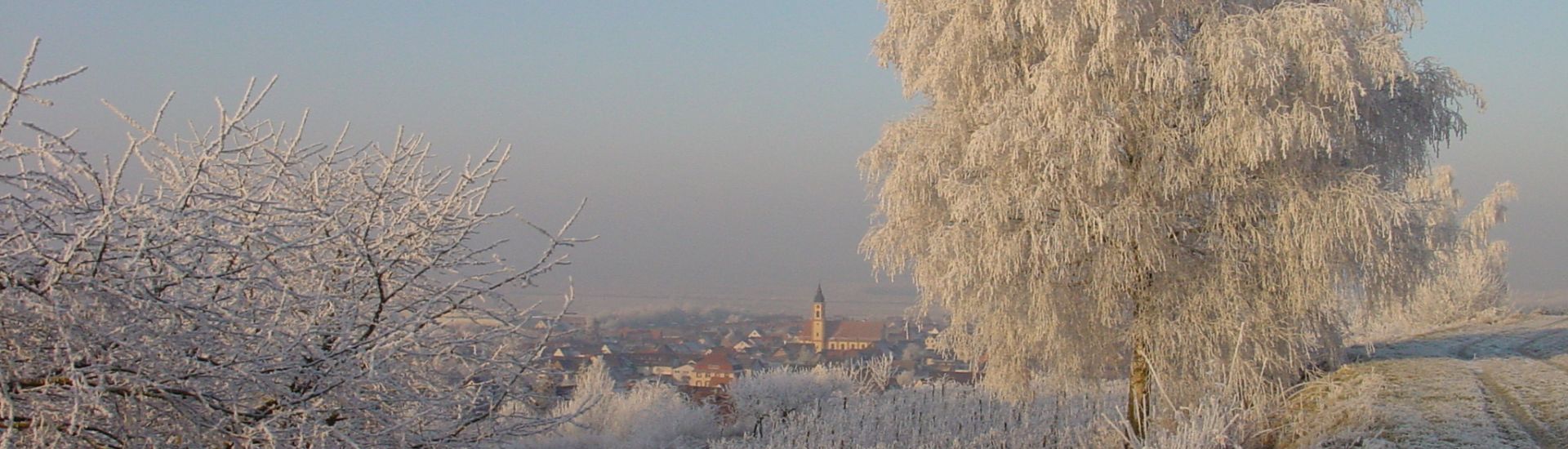 Winter in Ringsheim